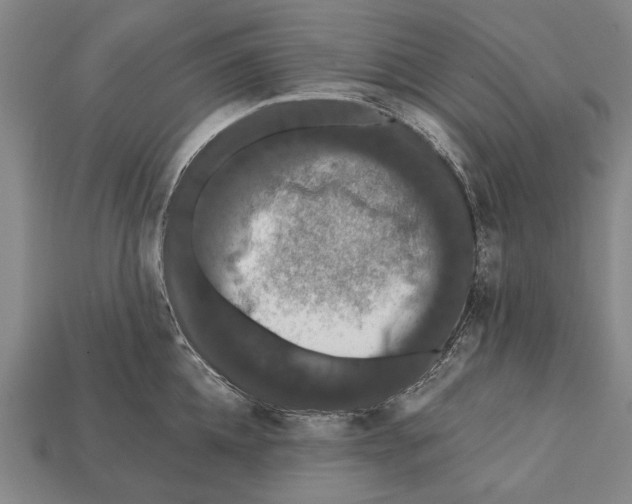 X0000112200952200909181531