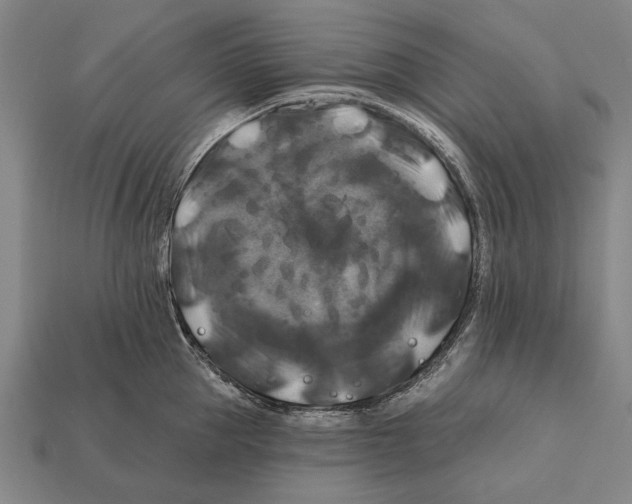 X0000112200953200909181531