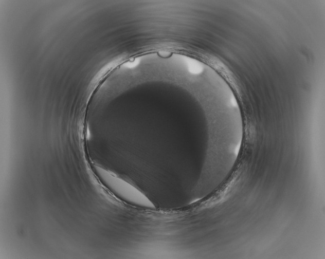 X0000112200954200909181531