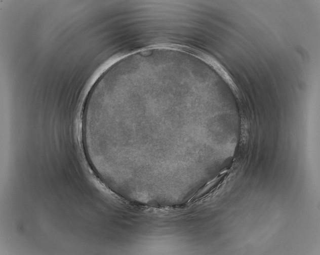 X0000112200955200909181531
