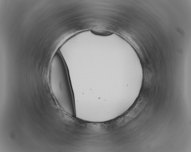 X0000112200956200909181531