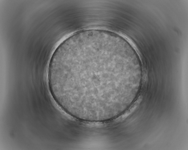 X0000112200957200909181531