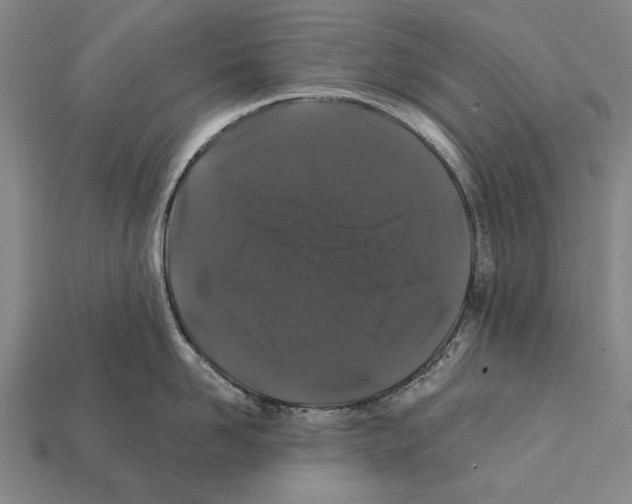 X0000112200958200909181531