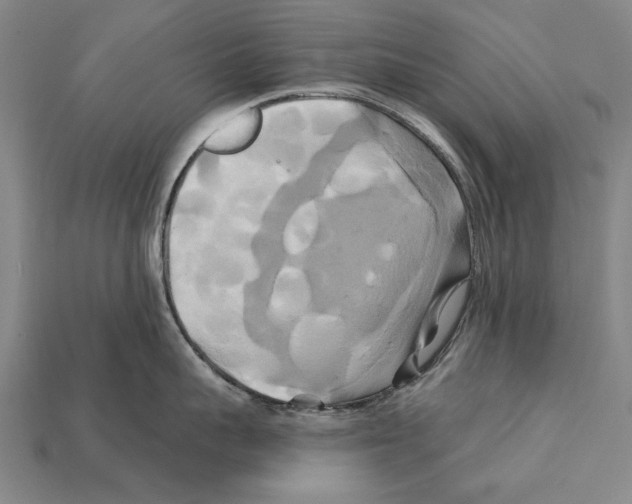 X0000112200959200909181531