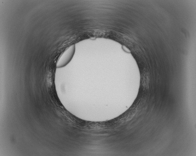 X0000112200962200909181530