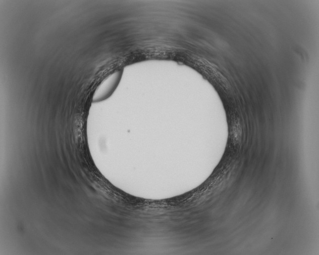X0000112200964200909181530