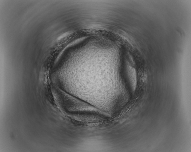 X0000112200965200909181530