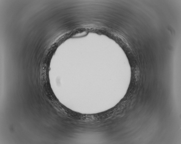 X0000112200968200909181530