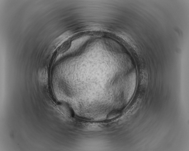 X0000112200969200909181530