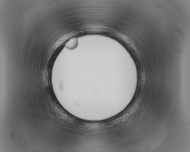 X0000112200970200909181530