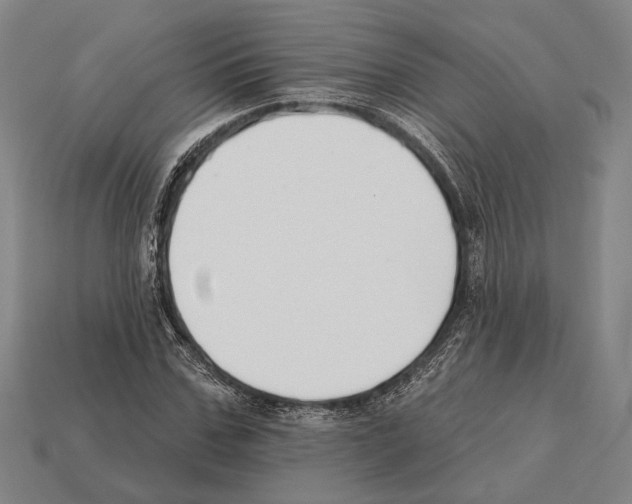 X0000112200971200909181530