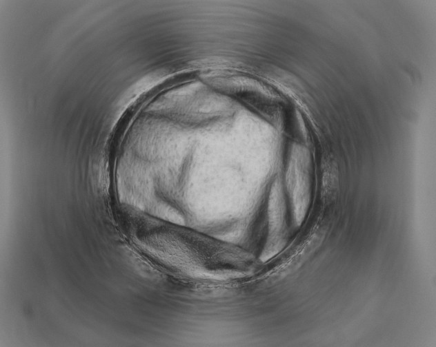 X0000112200973200909181530