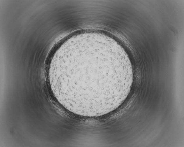 X0000112200974200909181530