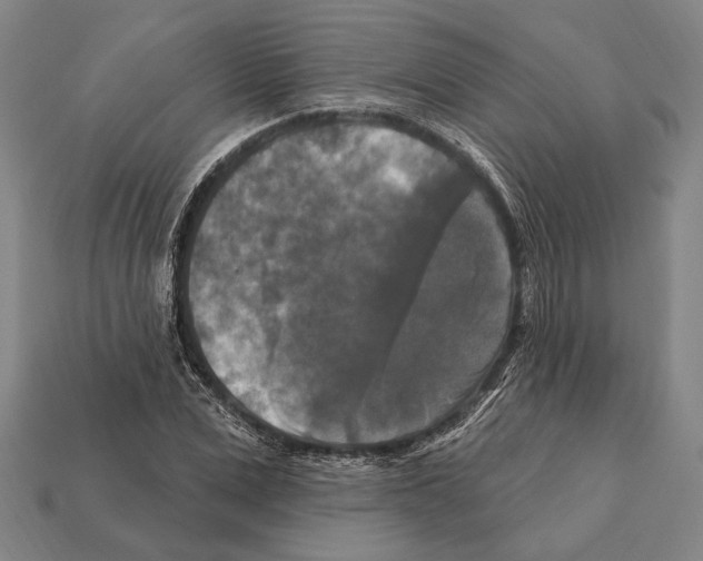 X0000112200975200909181530