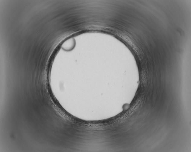 X0000112200976200909181530