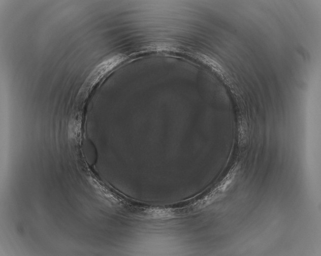 X0000112200977200909181530