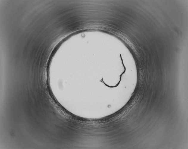 X0000112200980200909181530