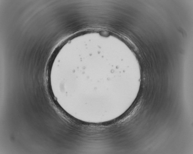 X0000112200981200909181530