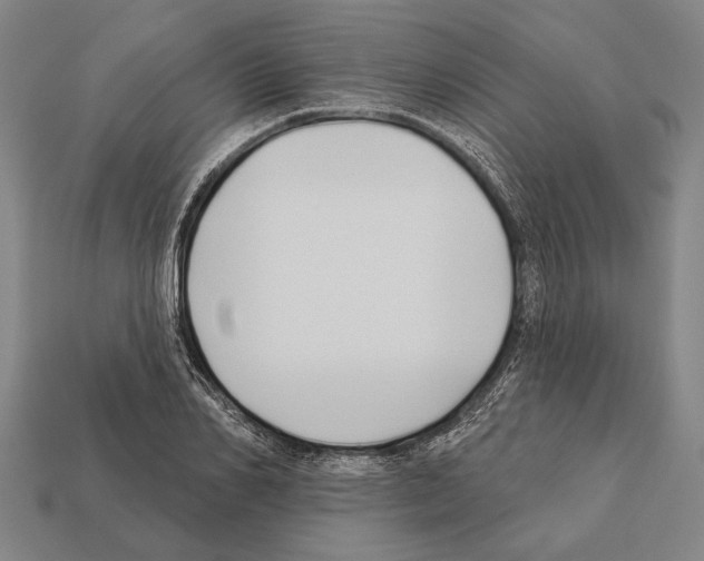 X0000112200982200909181530