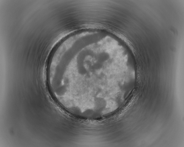 X0000112200983200909181530