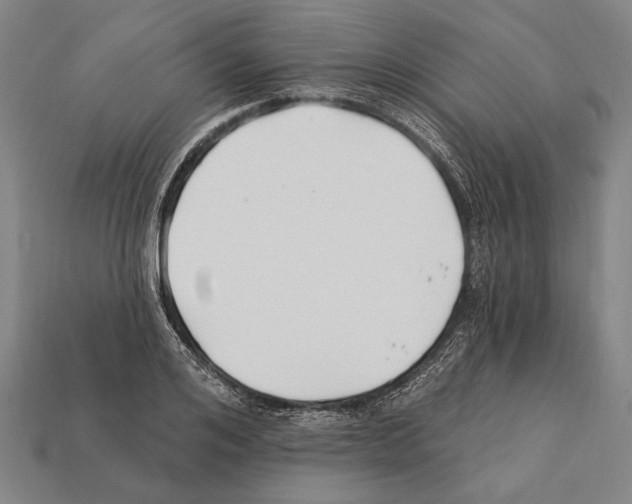X0000112200984200909181530