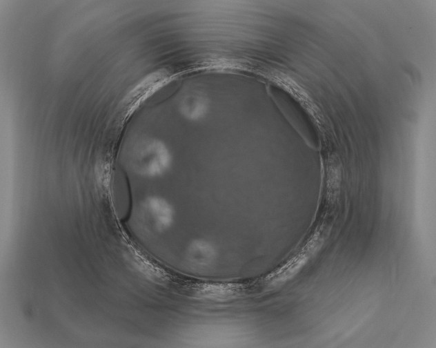X0000112200985200909181530