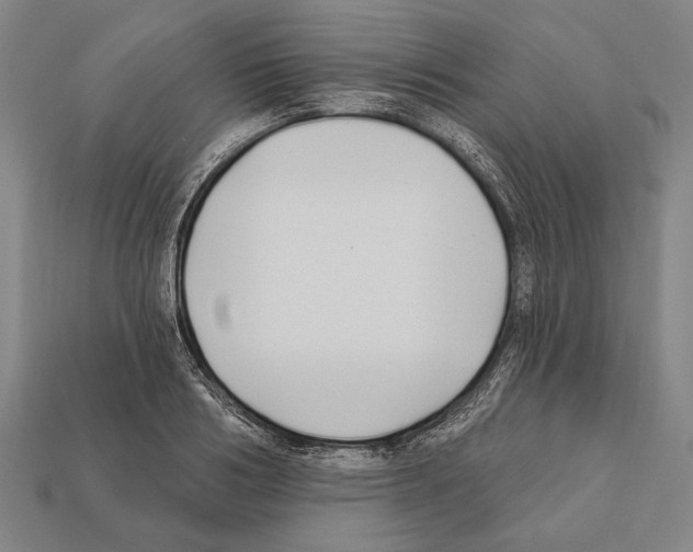 X0000112200986200909181530