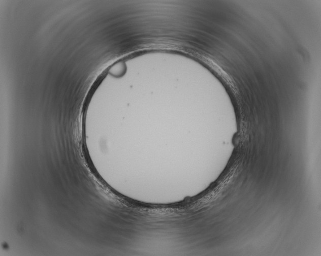 X0000112200988200909181530