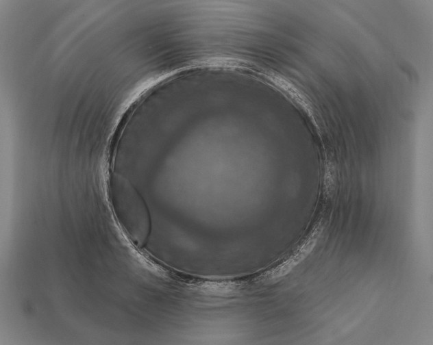 X0000112200989200909181530