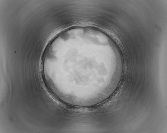 X0000112200990200909181529