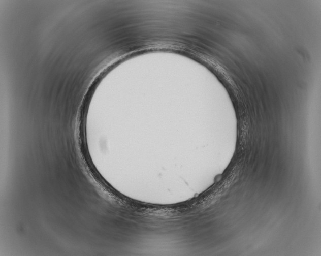 X0000112200991200909181529
