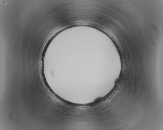 X0000112200992200909181529