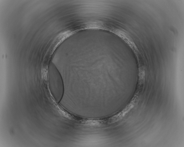 X0000112200993200909181529