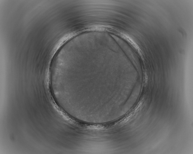 X0000112200994200909181529