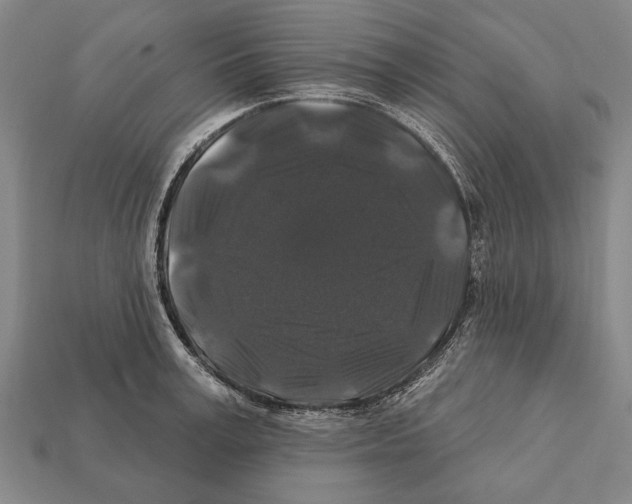 X0000112200995200909181529