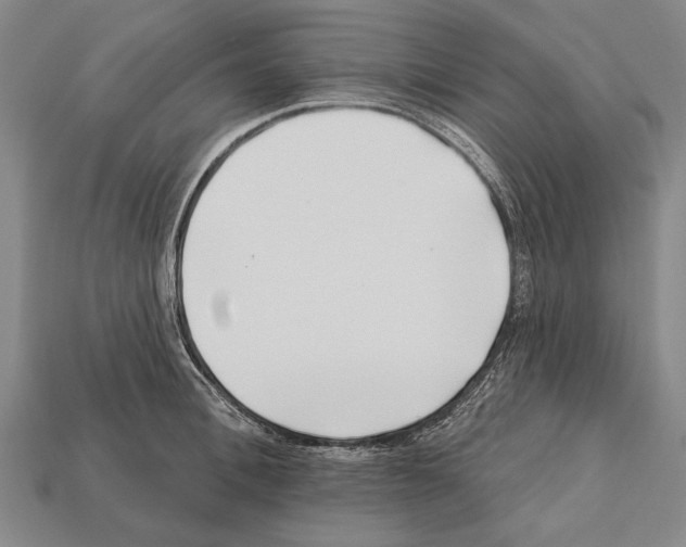 X0000112200996200909181529