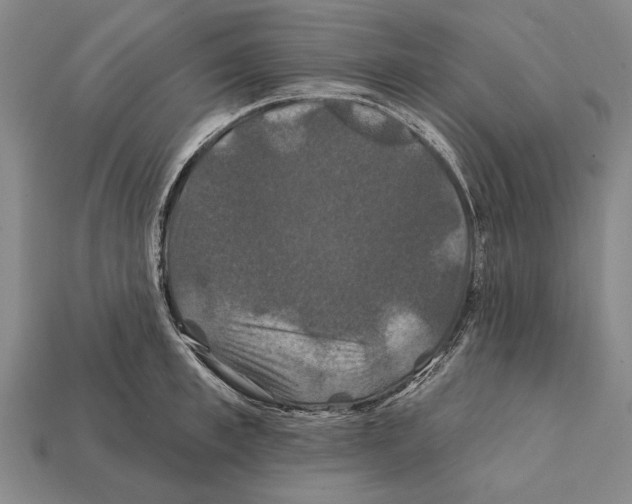 X0000112200997200909181529