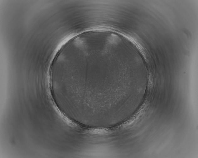 X0000112200998200909181529