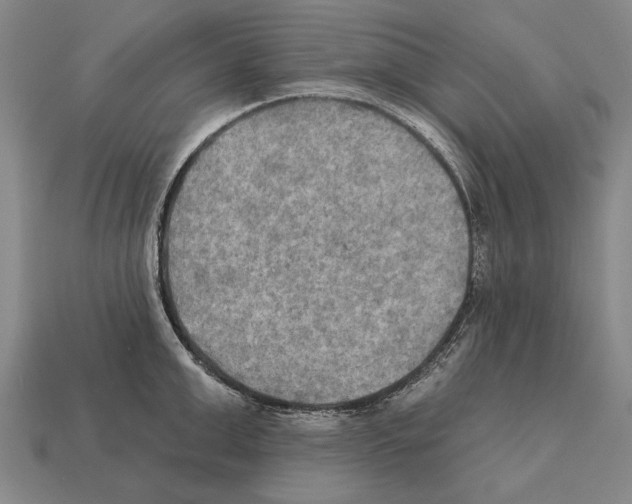 X0000112200999200909181529