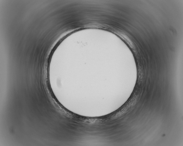 X0000112201000200909181529