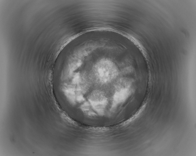 X0000112201001200909181529