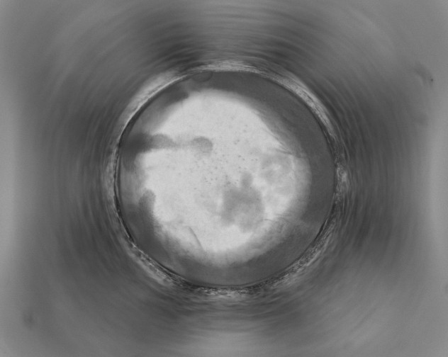 X0000112201002200909181529