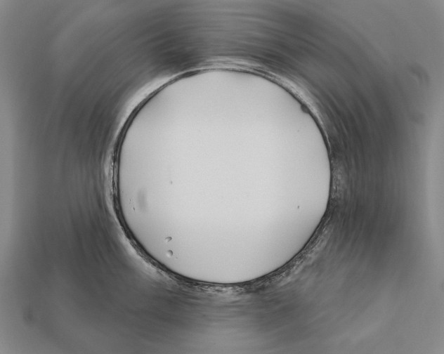 X0000112201003200909181529