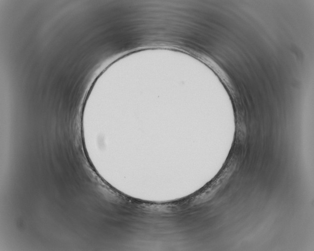 X0000112201004200909181529
