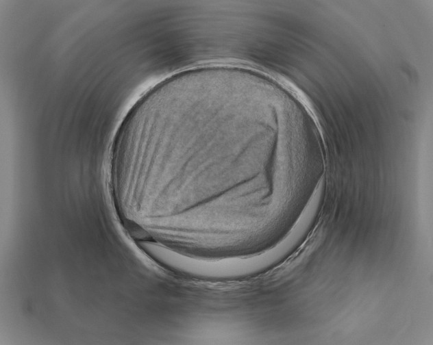 X0000112201005200909181529