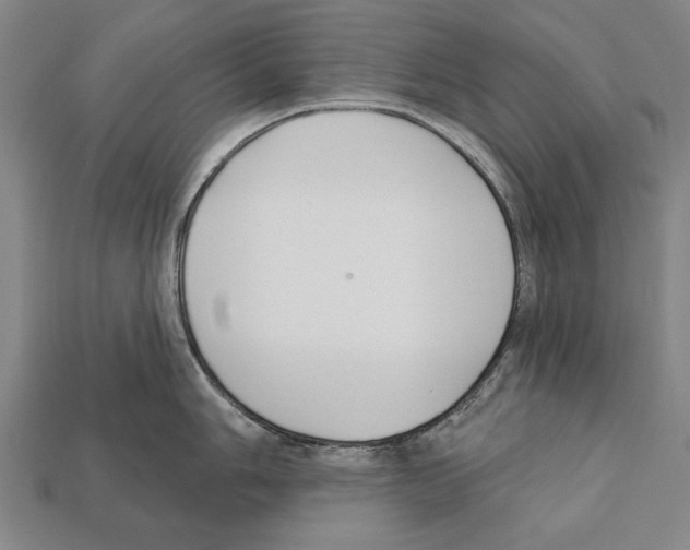 X0000112201006200909181529