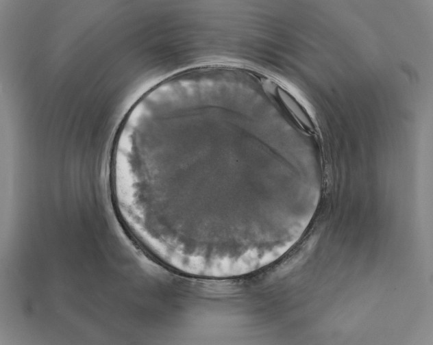 X0000112201007200909181529