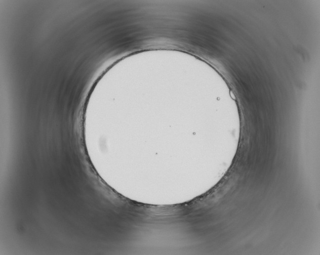 X0000112201008200909181529