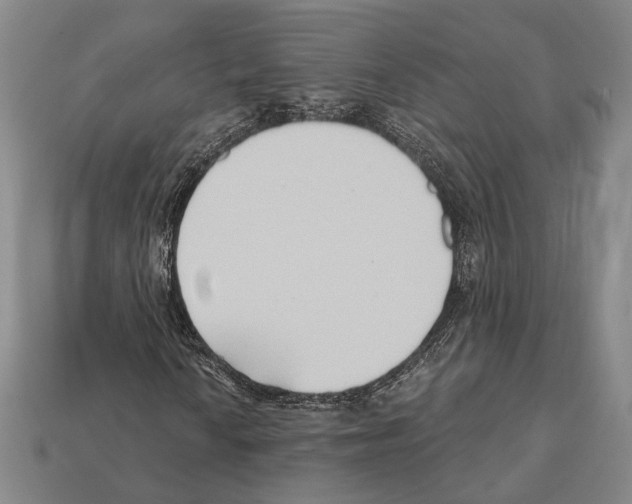 X0000112201010200909181529