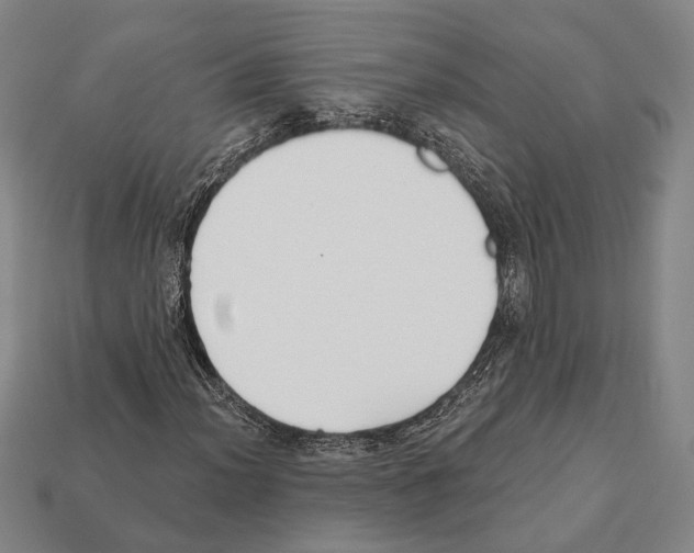 X0000112201012200909181529